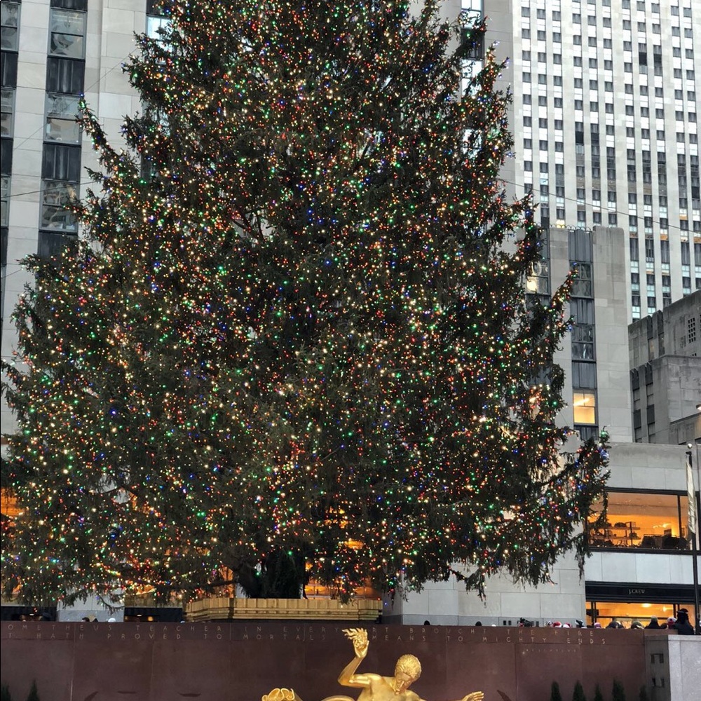 Meet your Posher, Noor